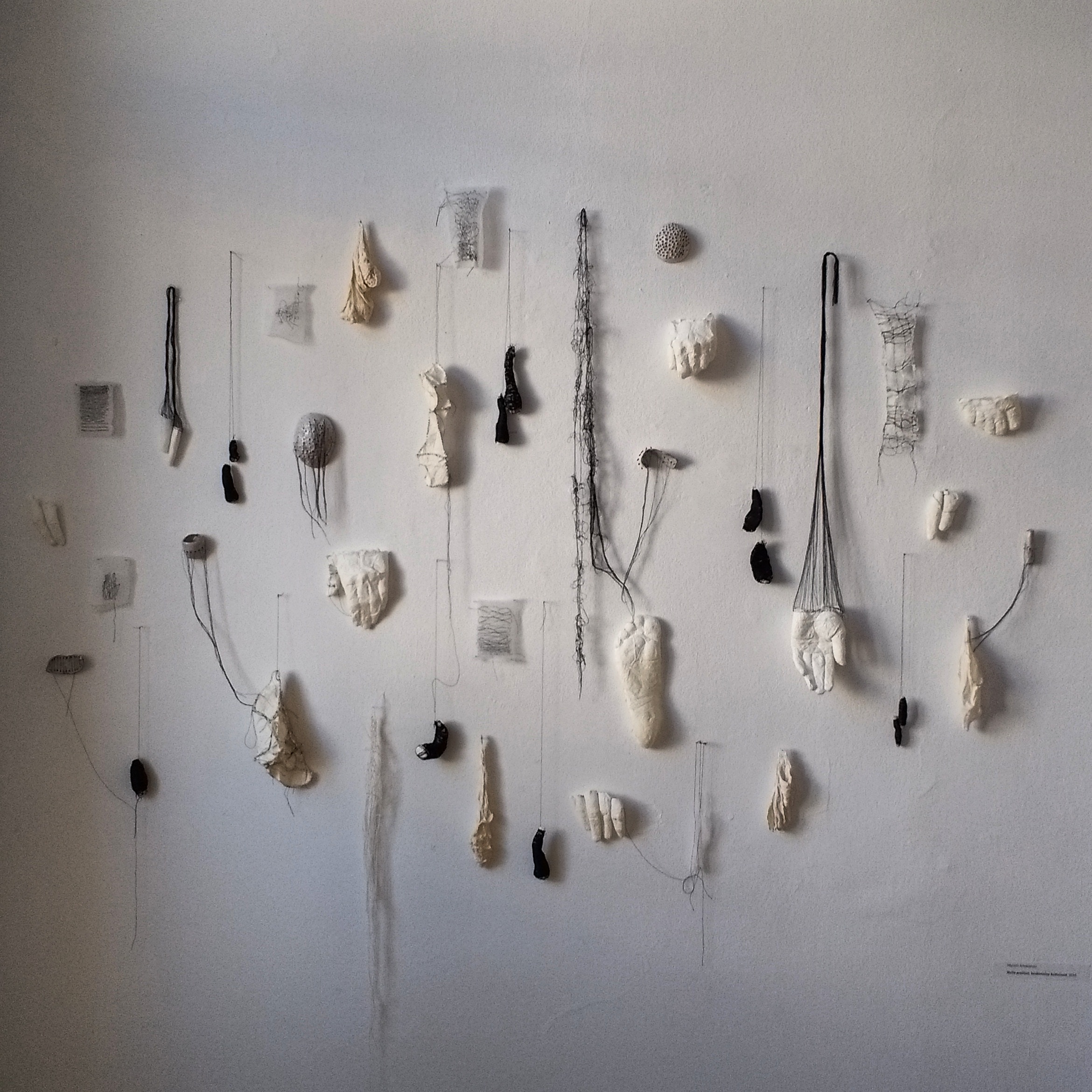 IMG_20170901_011715_475