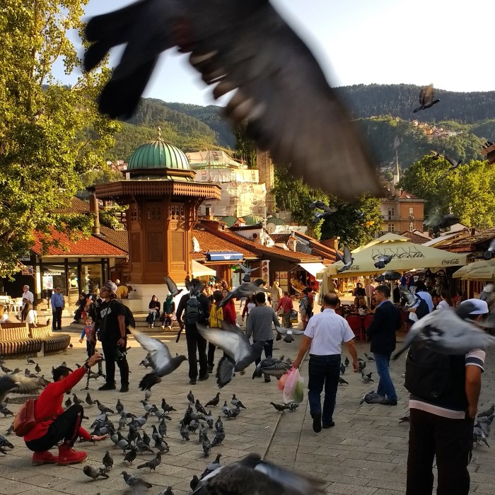 IMG_20170914_185348_719