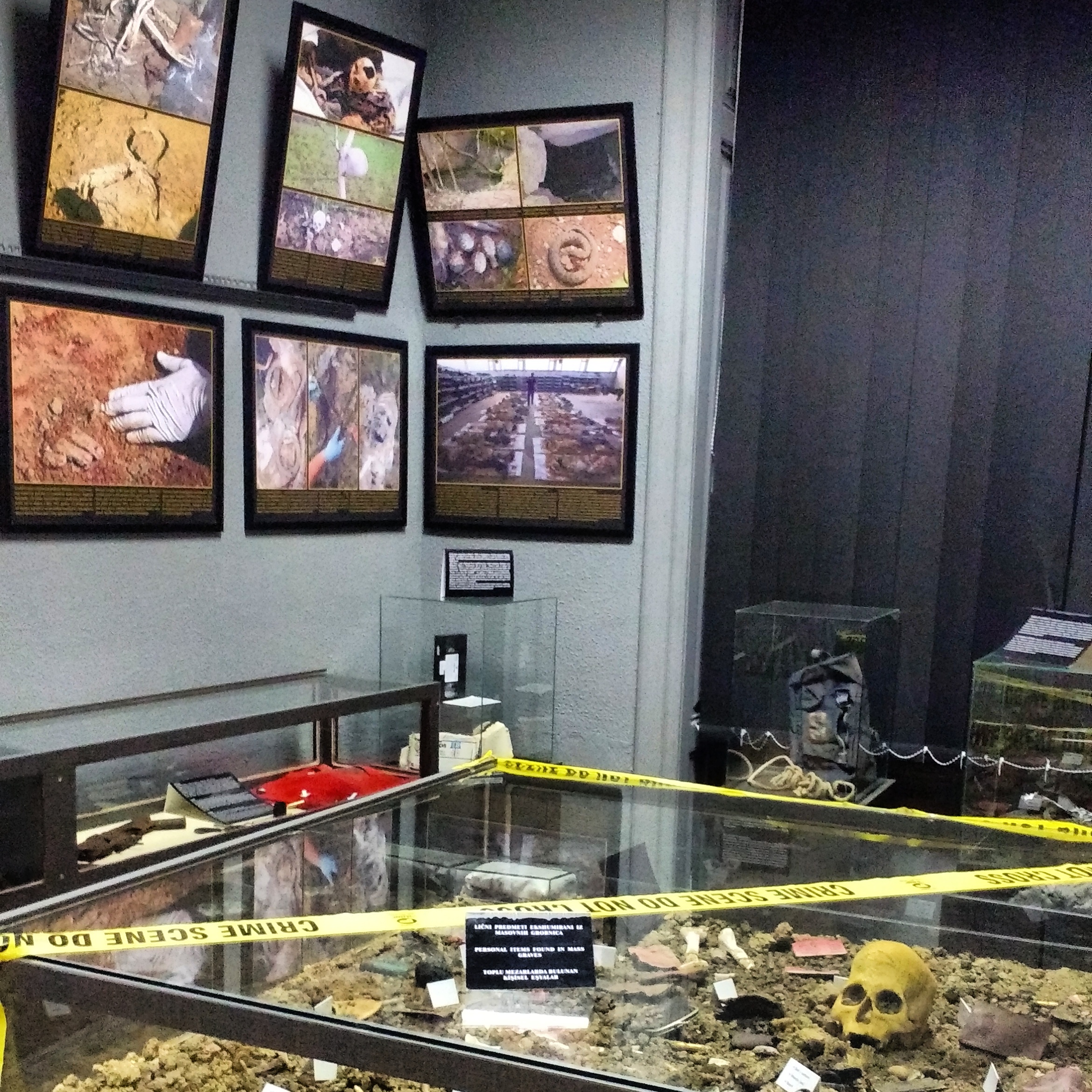 IMG_20170917_163559_353