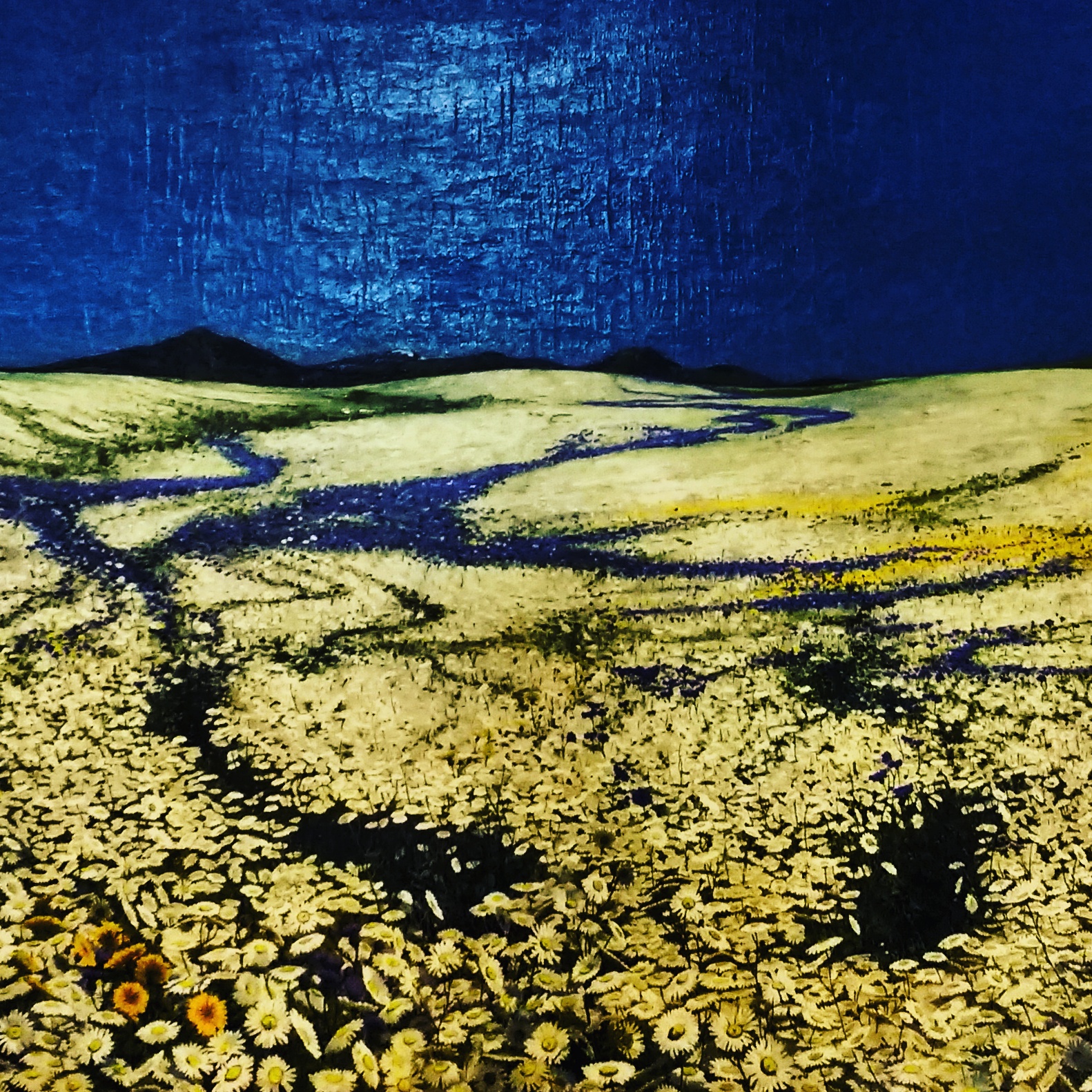 IMG_20170920_121908_107