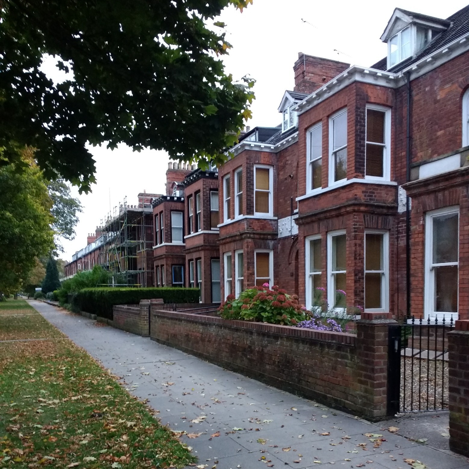 IMG_20181005_180436903-1560x2080