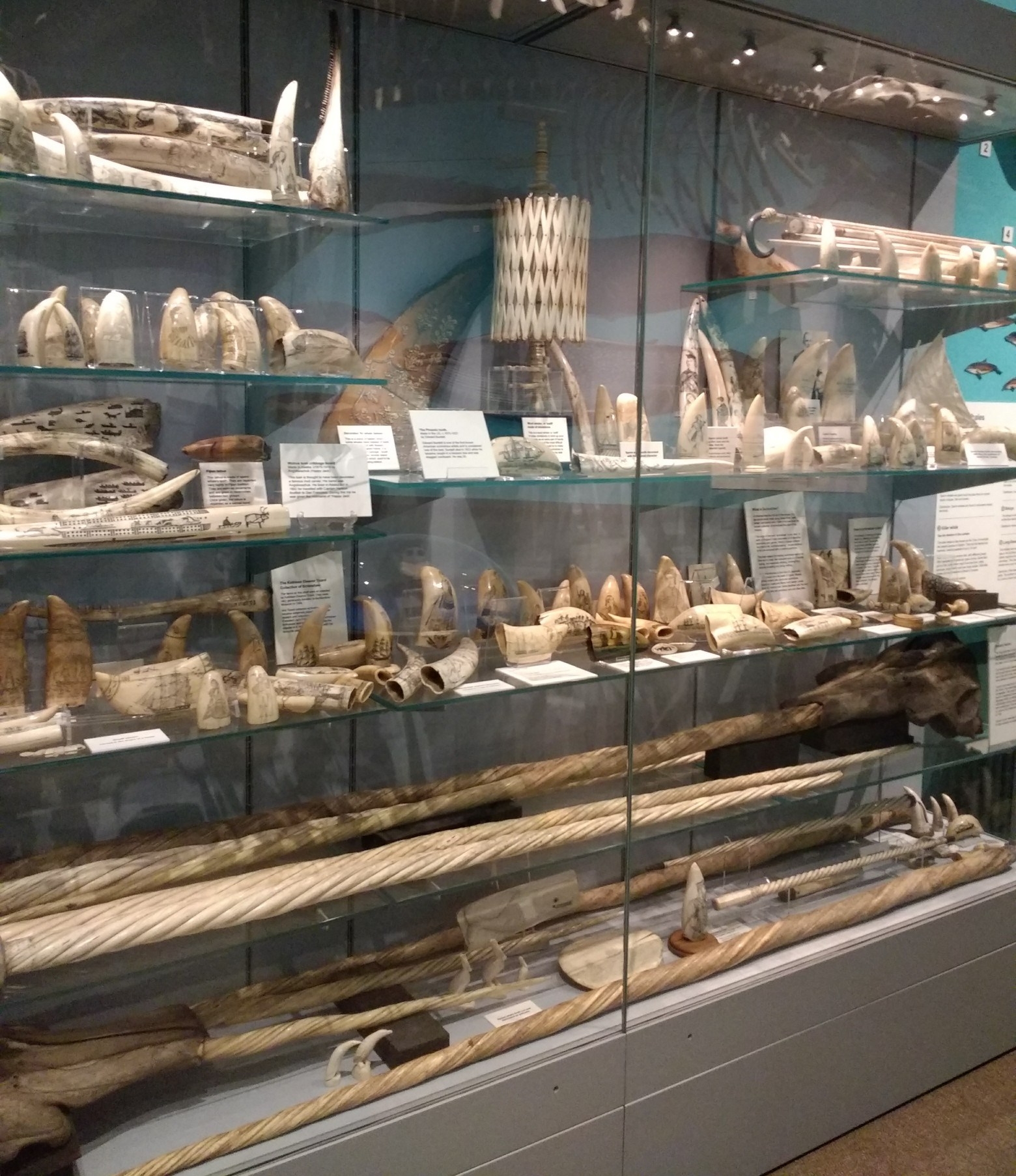 IMG_20181007_125136315-1560x2080