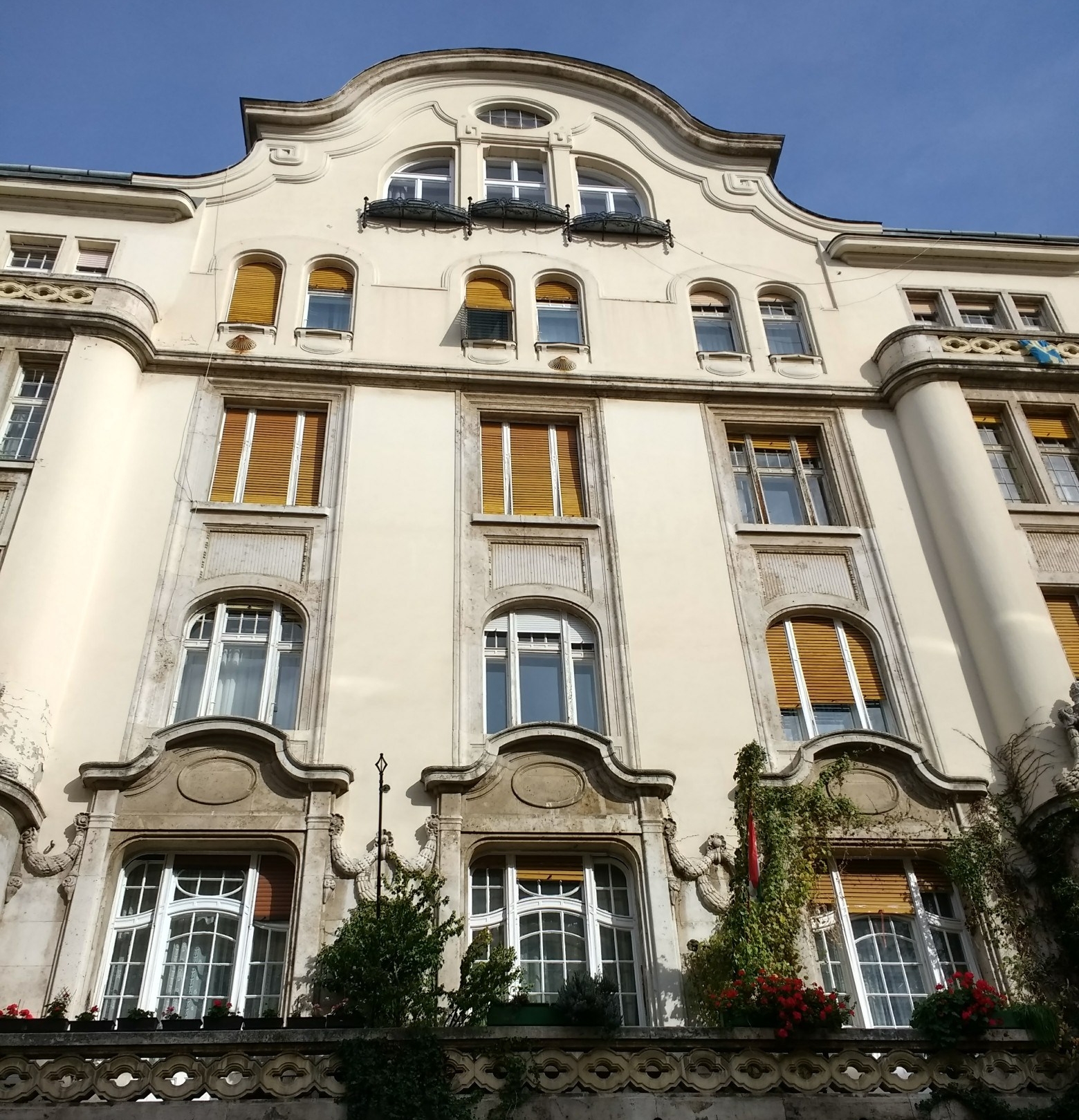 IMG_20181023_132751756_HDR-1560x2080