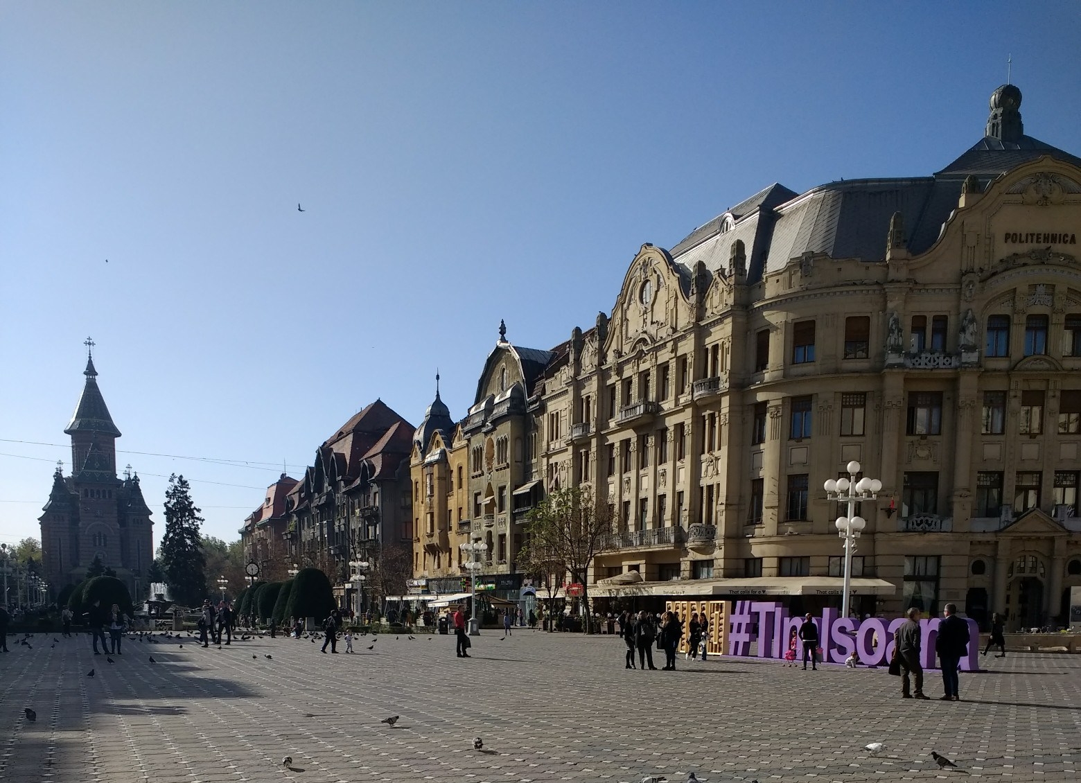 IMG_20181031_113054772-1560x2080