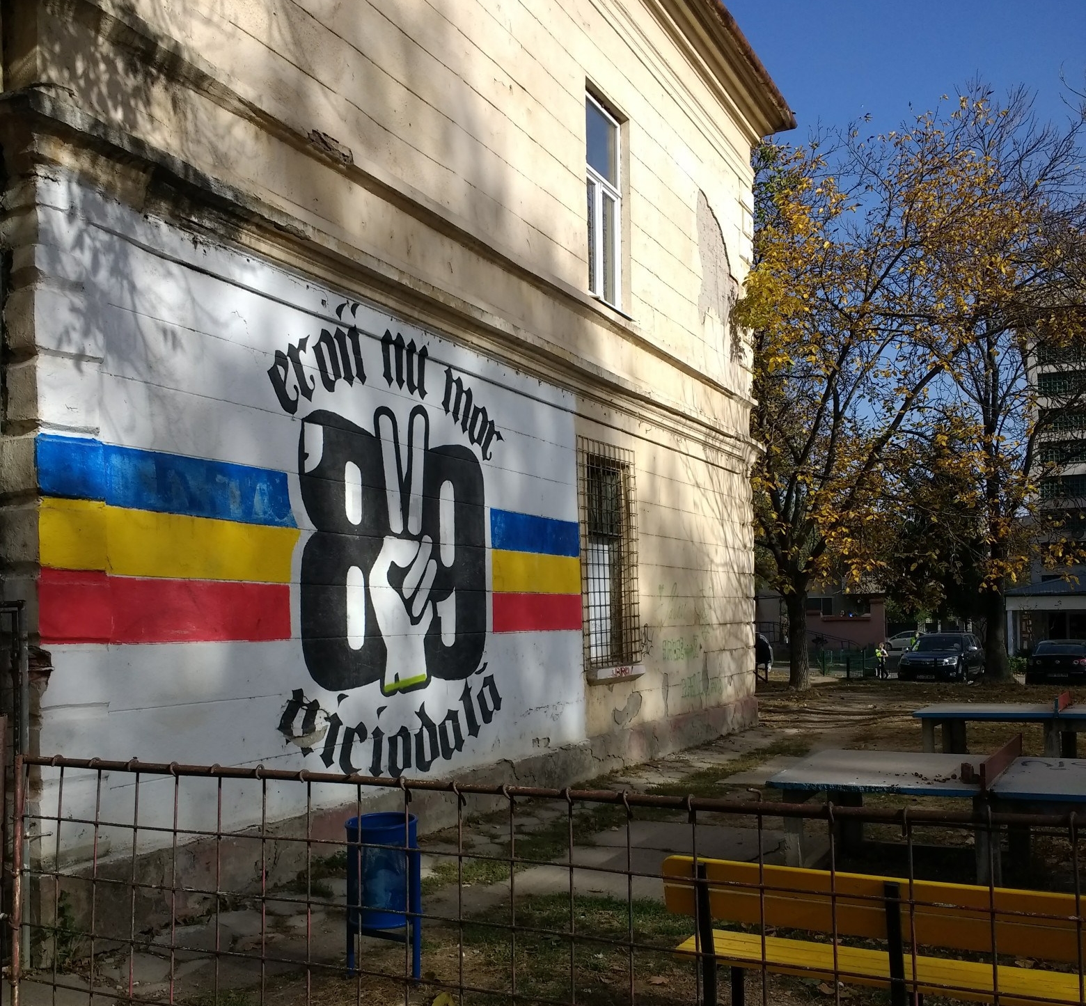 IMG_20181031_133158823-1560x2080