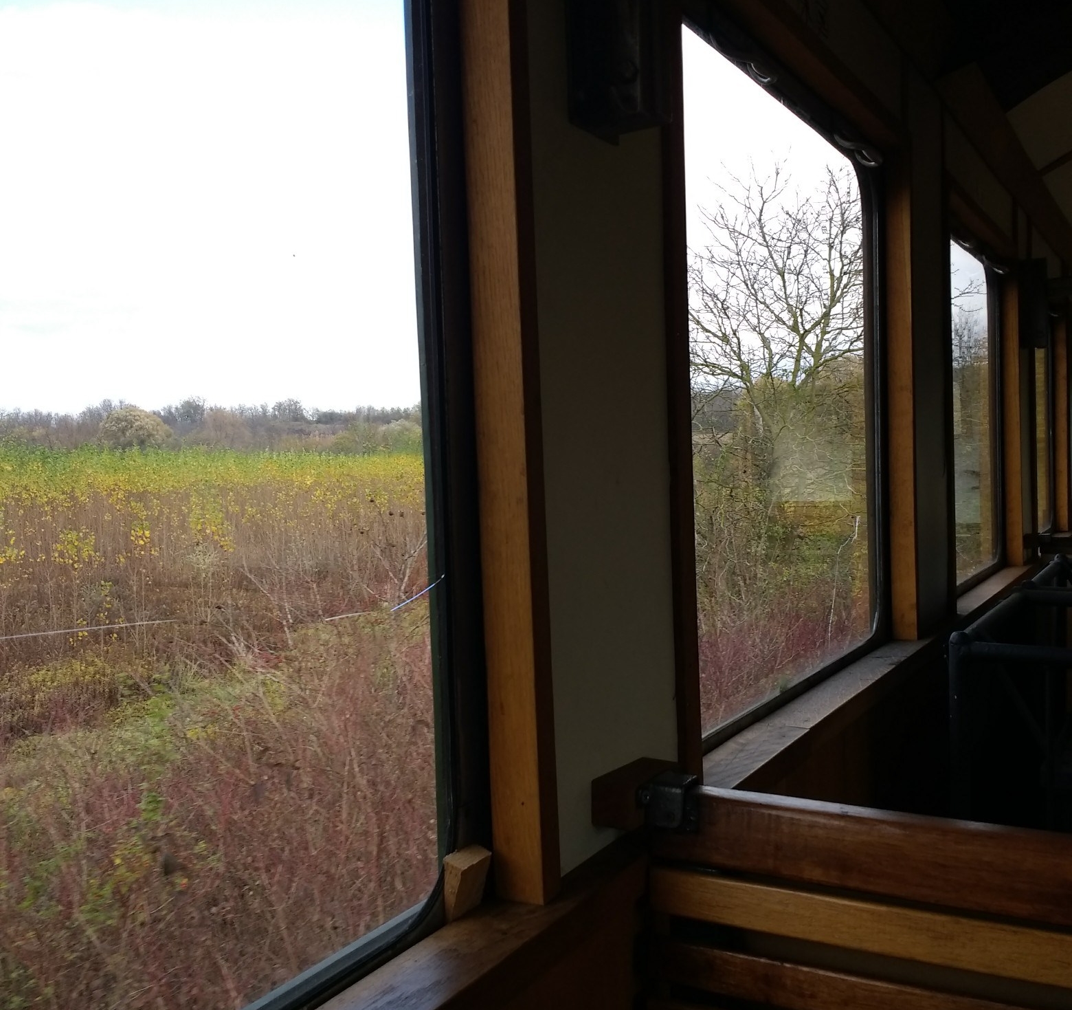 IMG_20181025_140924790-1560x2080