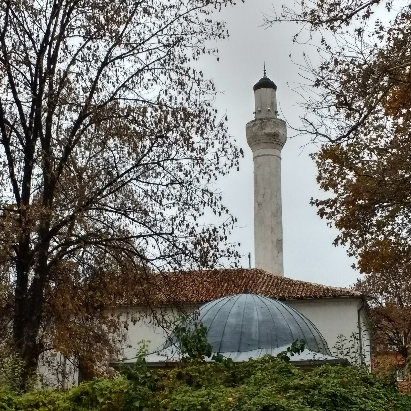 IMG_20181106_161051502_HDR-1560x2080